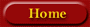 Home button